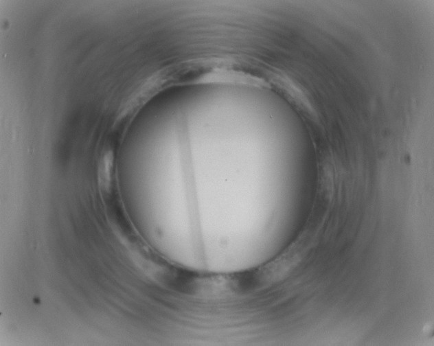 X0000081390118200701252114