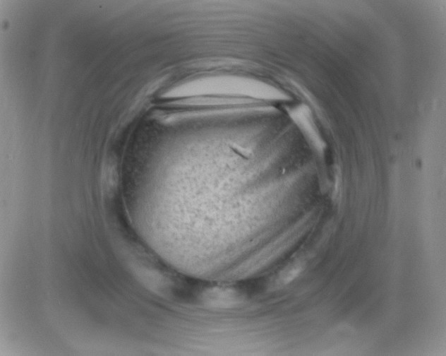 X0000081390119200701252114