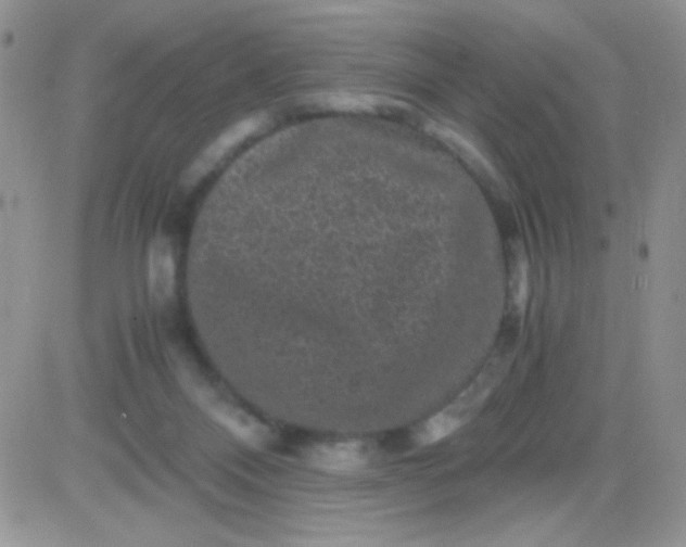 X0000081390120200701252114