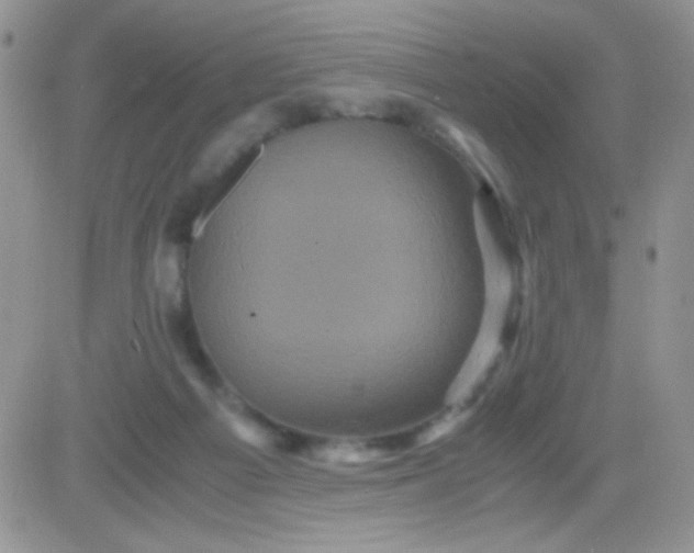 X0000081390121200701252114