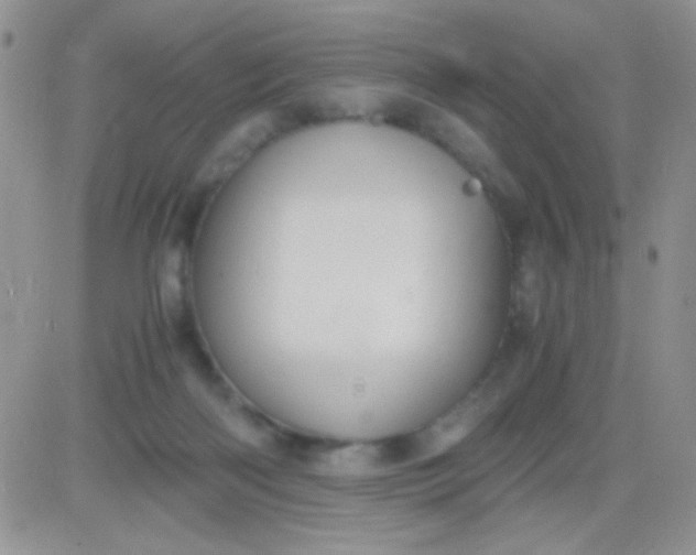 X0000081390122200701252114