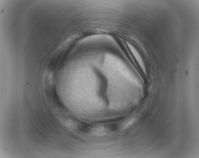 X0000081390123200701252114