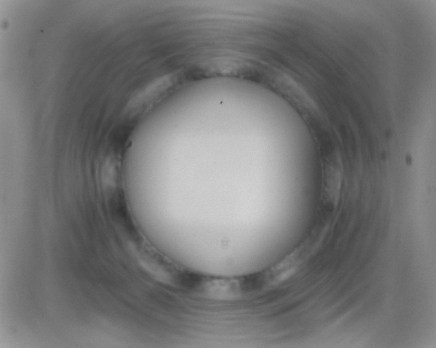 X0000081390126200701252114