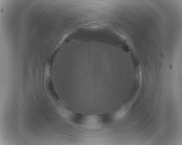 X0000081390127200701252114