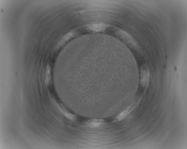 X0000081390128200701252114