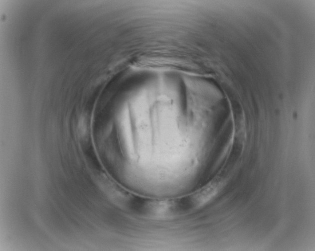 X0000081390131200701252114