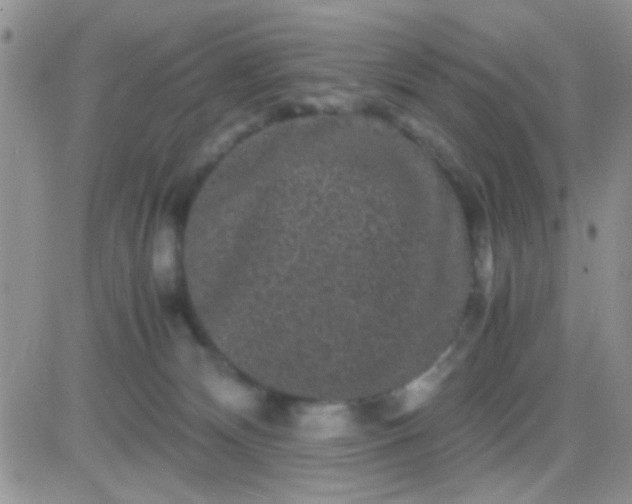 X0000081390132200701252114