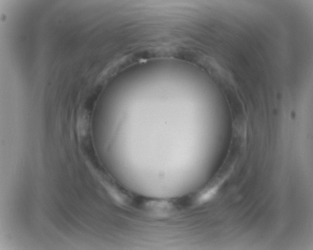 X0000081390133200701252114