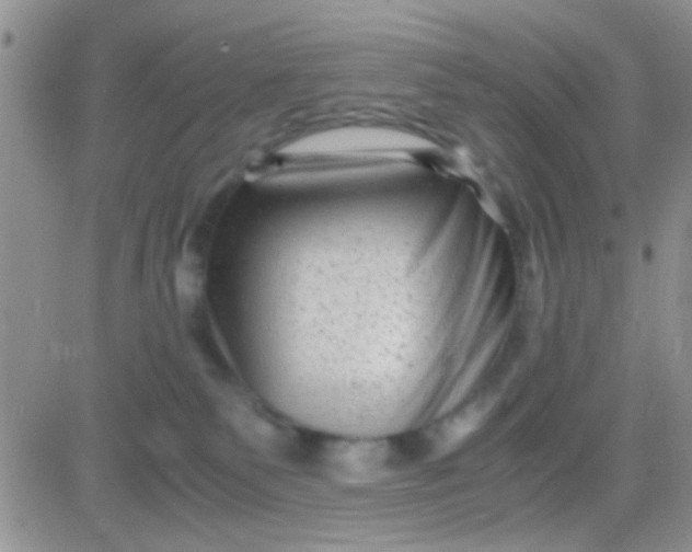 X0000081390135200701252114