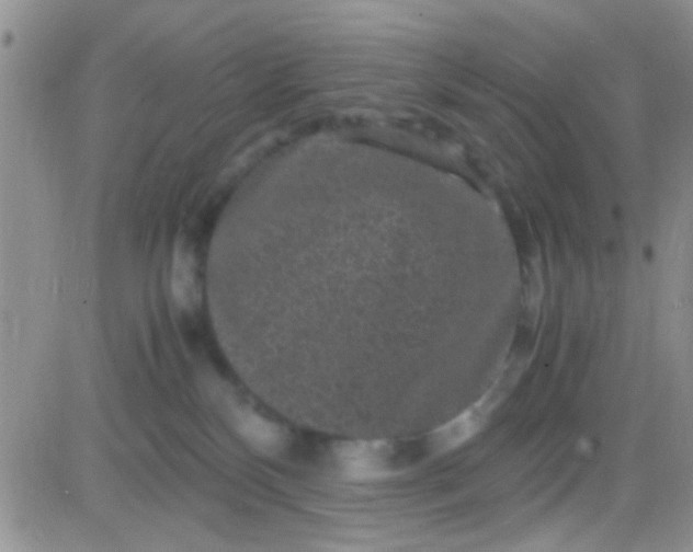 X0000081390136200701252114