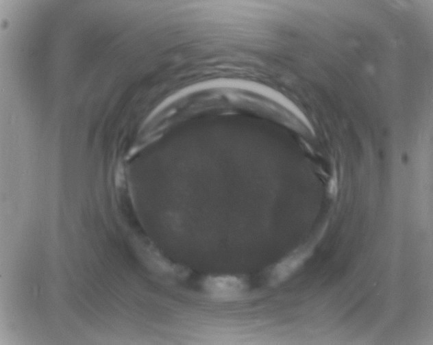 X0000081390137200701252114