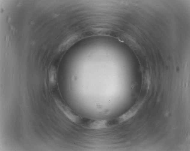 X0000081390138200701252114