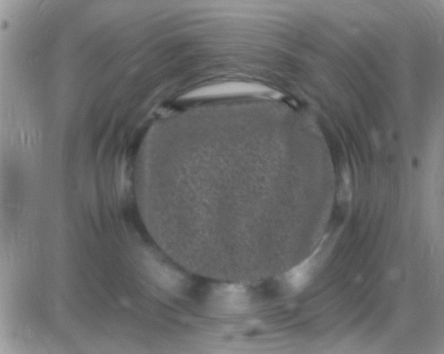 X0000081390140200701252114