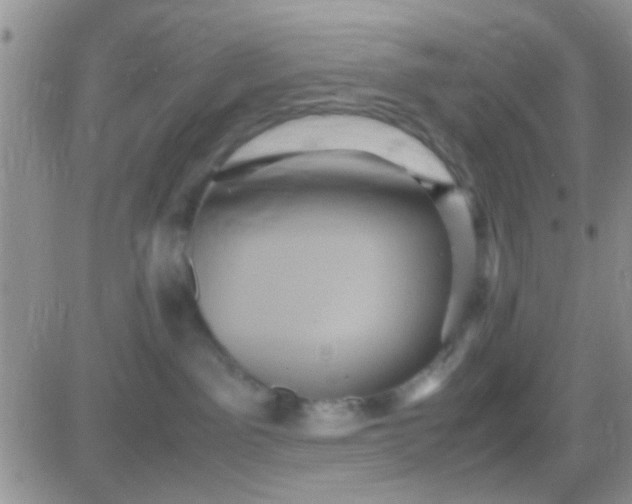 X0000081390141200701252114