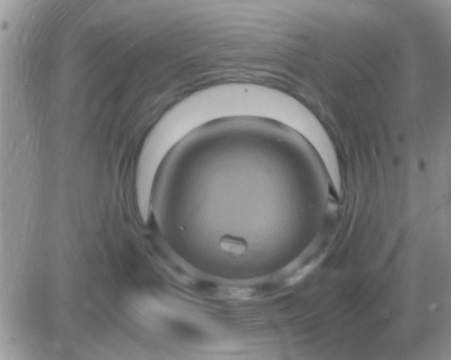 X0000081390143200701252114