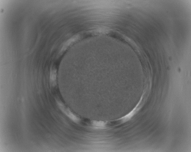 X0000081390144200701252114