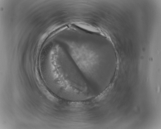 X0000081390145200701252113