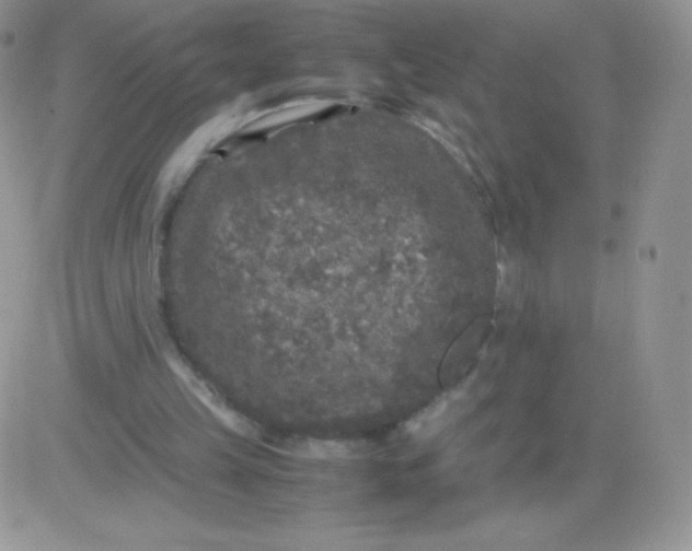 X0000081390149200701252113