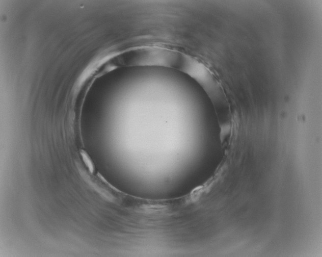 X0000081390150200701252113