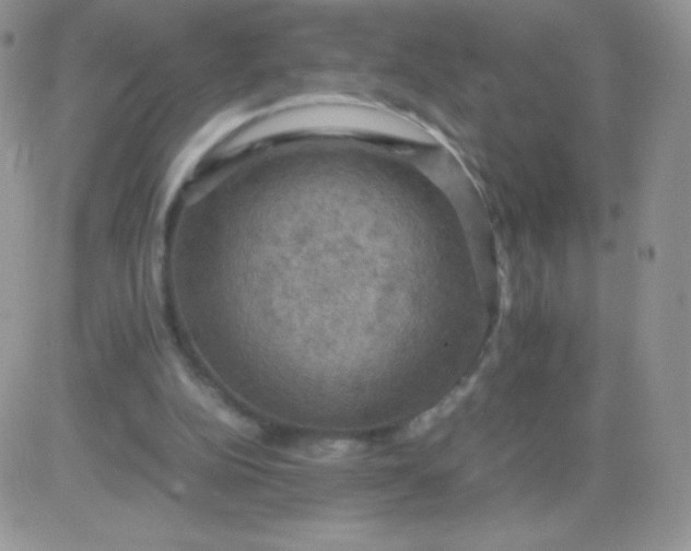 X0000081390152200701252113