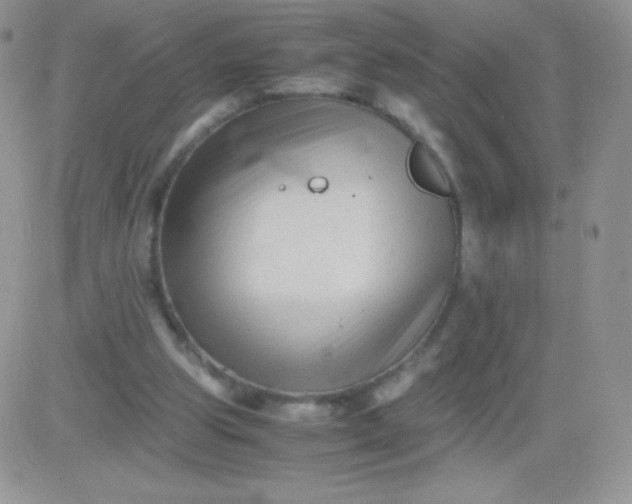 X0000081390153200701252113