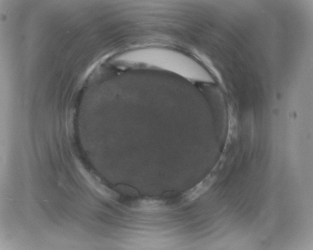 X0000081390154200701252113