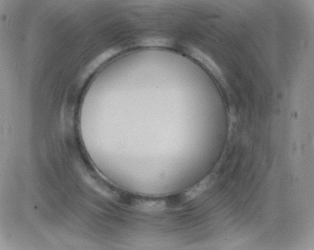 X0000081390155200701252113