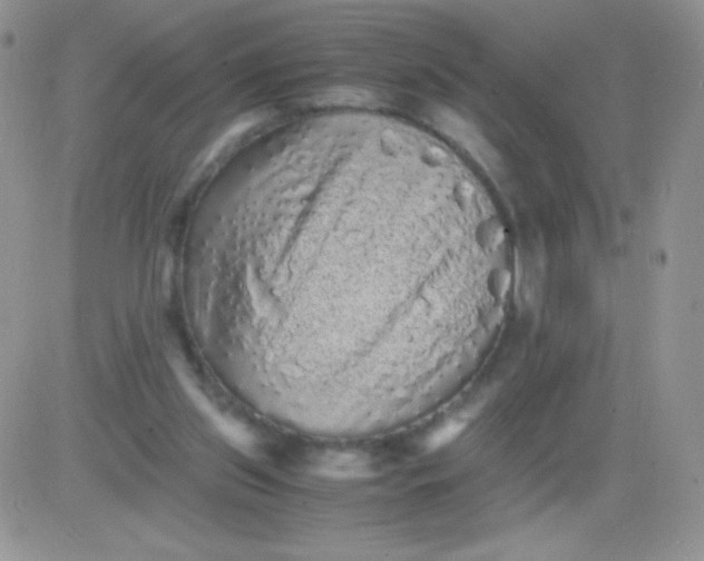 X0000081390157200701252113