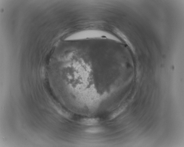 X0000081390161200701252113