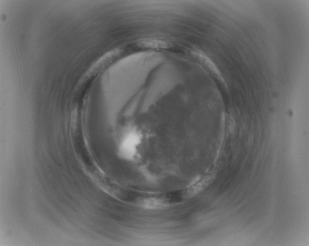 X0000081390163200701252113