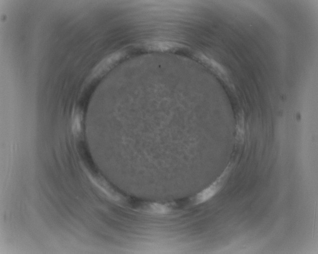 X0000081390166200701252113