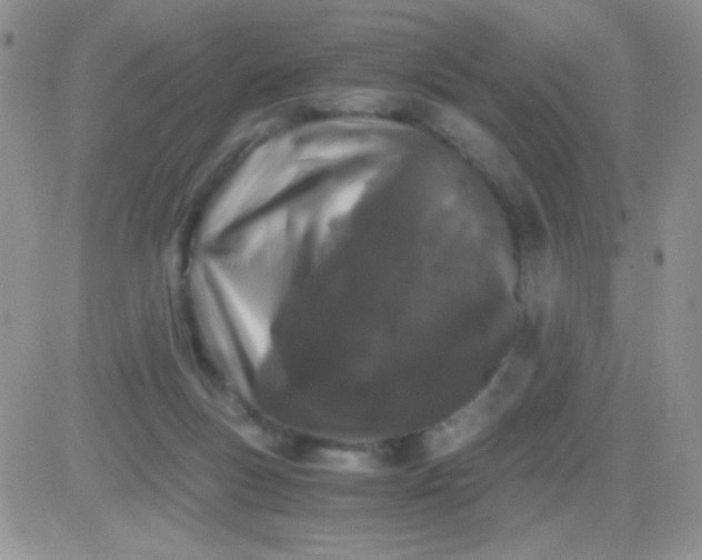 X0000081390167200701252113