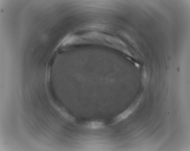 X0000081390168200701252113