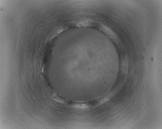 X0000081390169200701252113