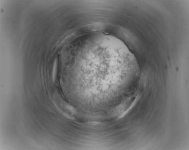 X0000081390170200701252113