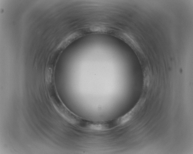 X0000081390171200701252113