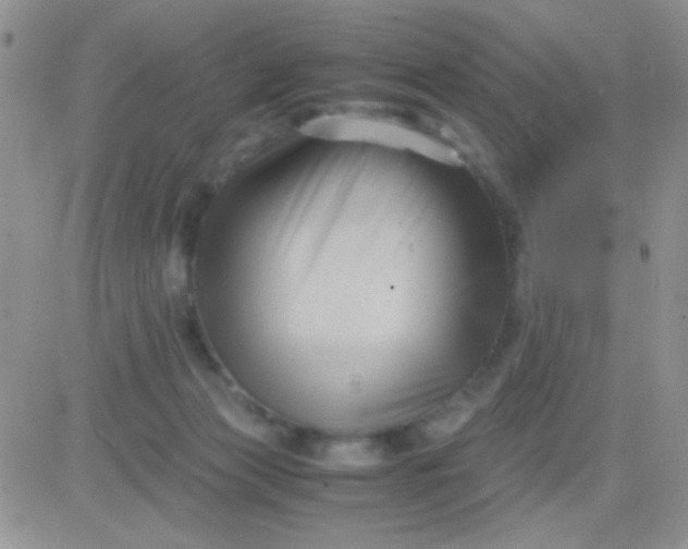 X0000081390173200701252113