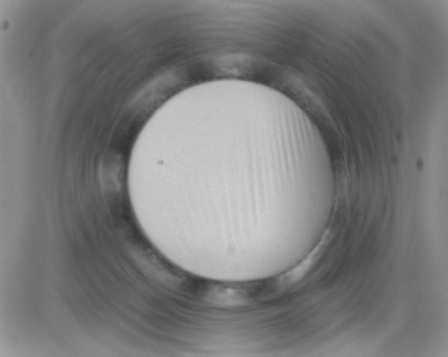 X0000081390174200701252113