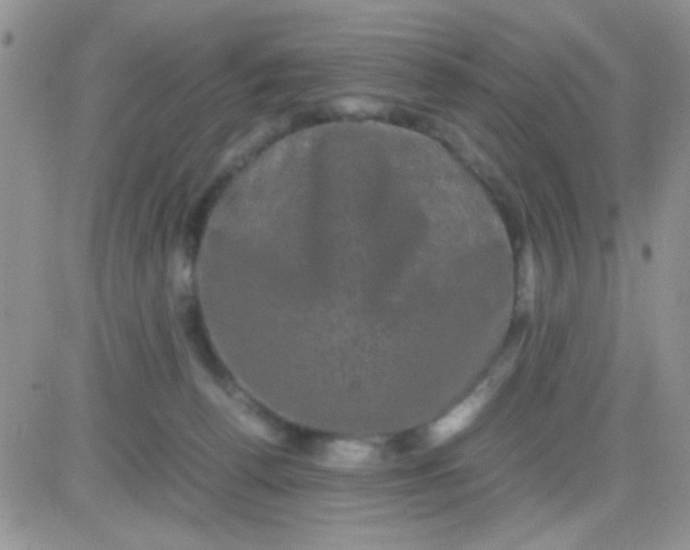 X0000081390176200701252113