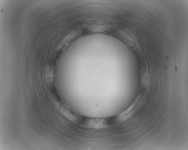 X0000081390179200701252113