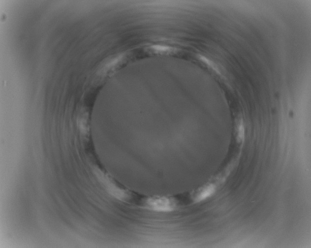 X0000081390181200701252113