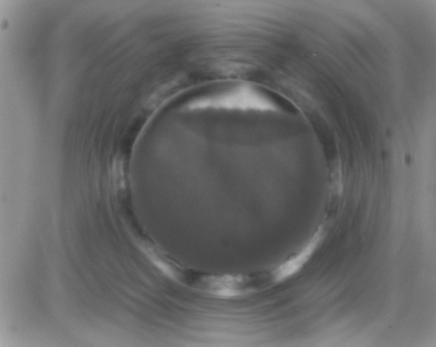 X0000081390182200701252113