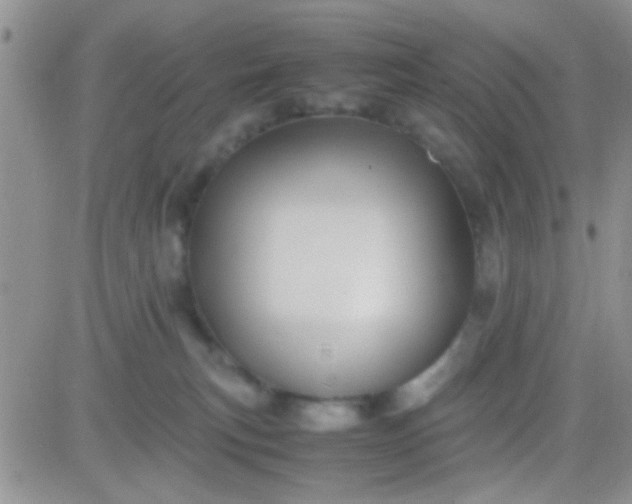 X0000081390183200701252113