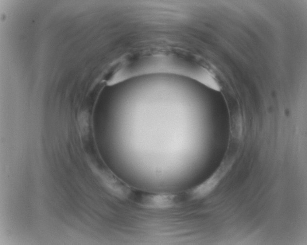 X0000081390184200701252113