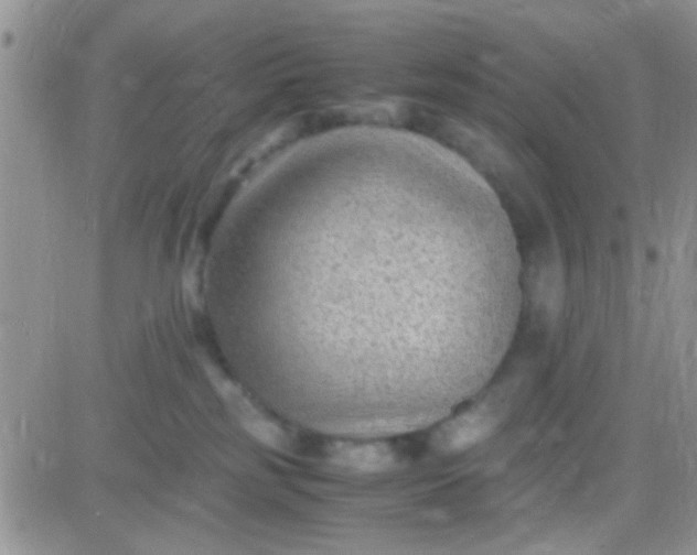 X0000081390185200701252113