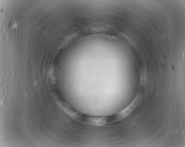 X0000081390187200701252113