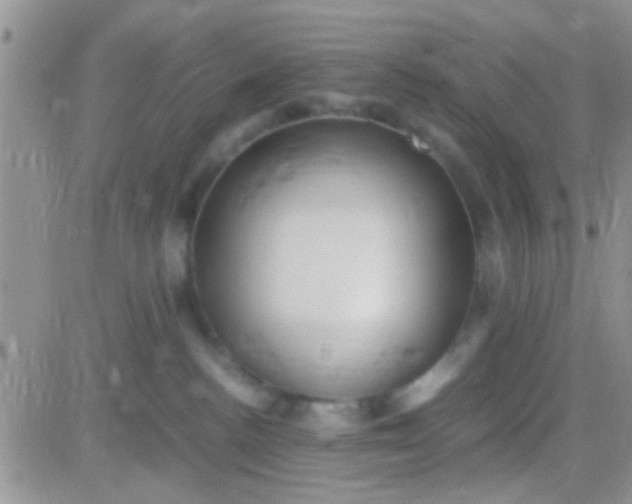 X0000081390188200701252113