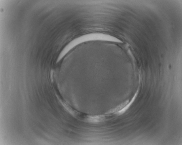 X0000081390190200701252113