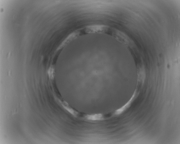 X0000081390191200701252114