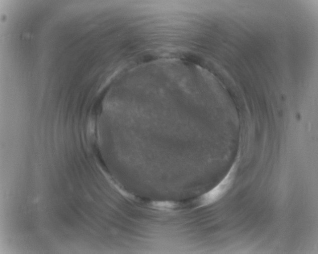 X0000081390192200701252114